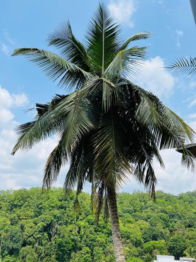 Hansons Homestay Kandy Eksteriør bilde
